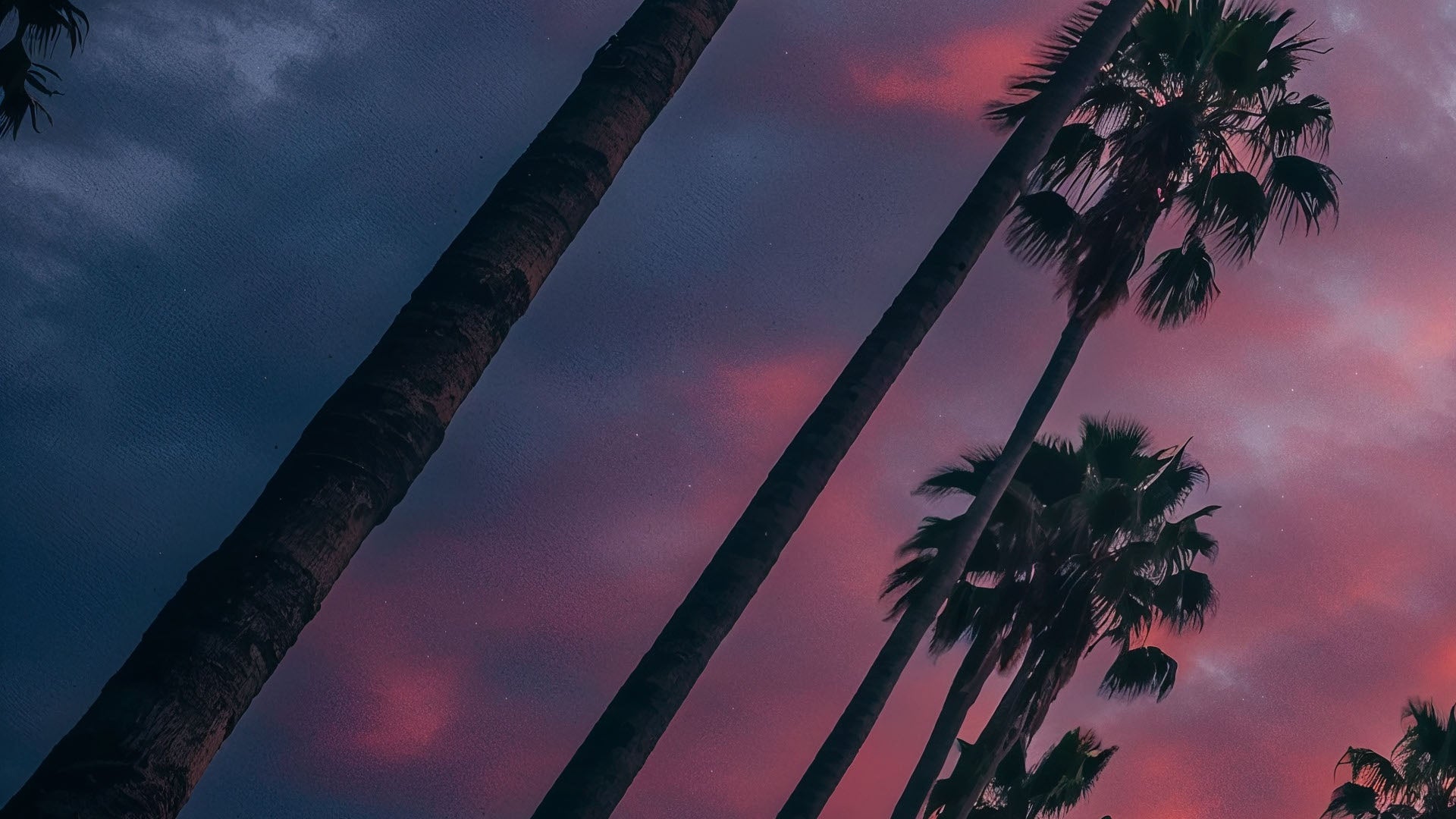 Aura Wallpaper - Los Angeles (Full HD)