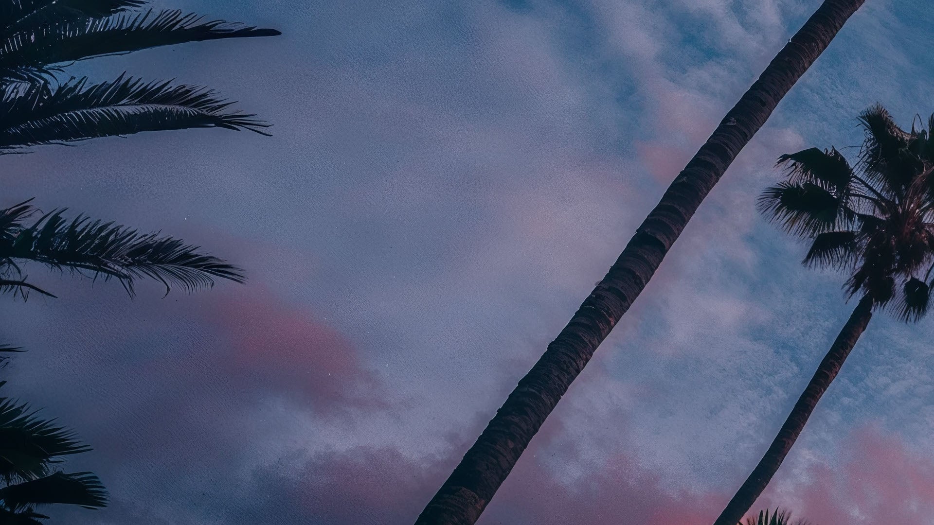 Aura Wallpaper - Los Angeles (Full HD)