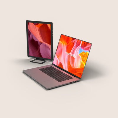 Single Flex Pro (Gen 1)