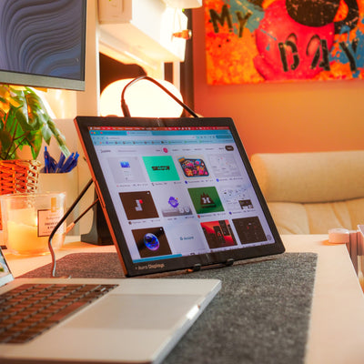 Single Flex Pro (Gen 1)