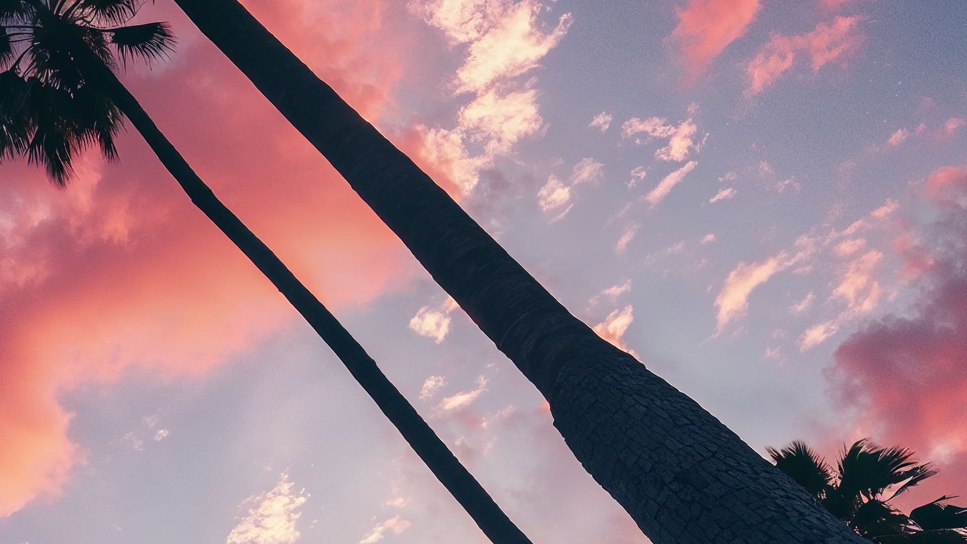 Aura Wallpaper - Los Angeles (Full HD)