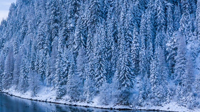 Aura Wallpaper - Winter Lake (Full HD)